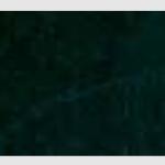 Ultra NGR Dye - - GALLON